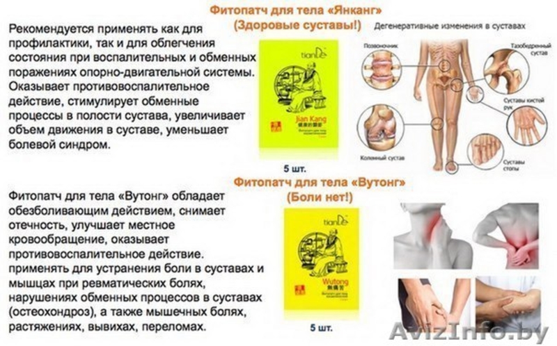 TianDe – источник вашей природной красоты! - Изображение #1, Объявление #941921