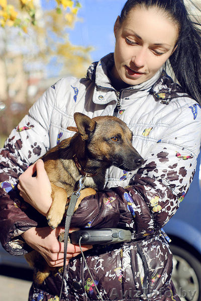 Малыш-осень Муха ищет дом! - Изображение #8, Объявление #983044