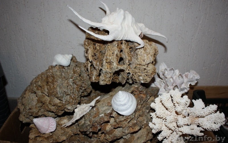 Аквариум 850л. Полный комплект - Изображение #3, Объявление #968423