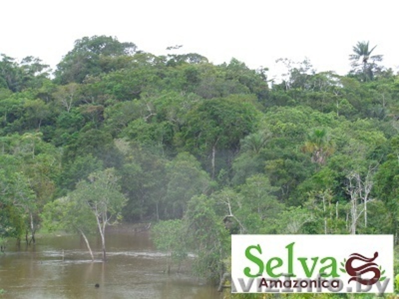 Самое незабываемое путешествие - Изображение #2, Объявление #985044