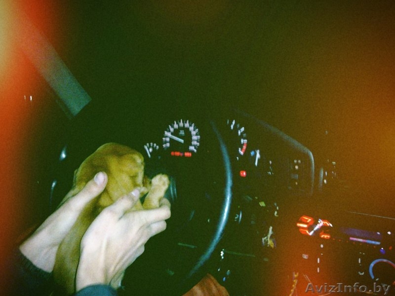 Карликовый пинчер, той терьер, цварчпинчер - Изображение #2, Объявление #972046