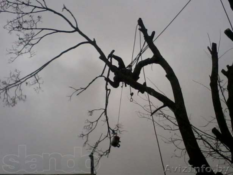 Установка козырьков на балкон, над дверями на разных высотах. - Изображение #3, Объявление #997552