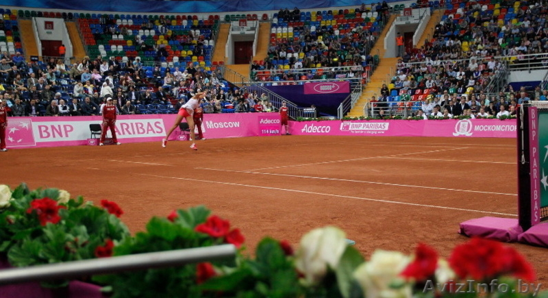 Строительство теннисных & сквош кортов - Изображение #1, Объявление #998350