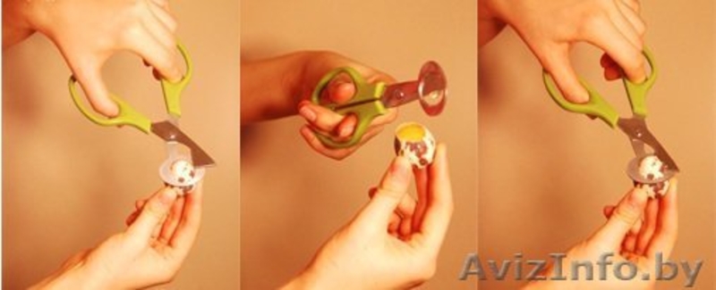 Молокоотстойник, ножницы для перепелиных яйца, противень - Изображение #2, Объявление #998374