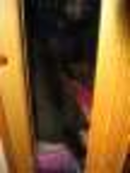 СОС!!! почти обретший надежду котик может снова оказаться на улице=(  - Изображение #2, Объявление #1012340