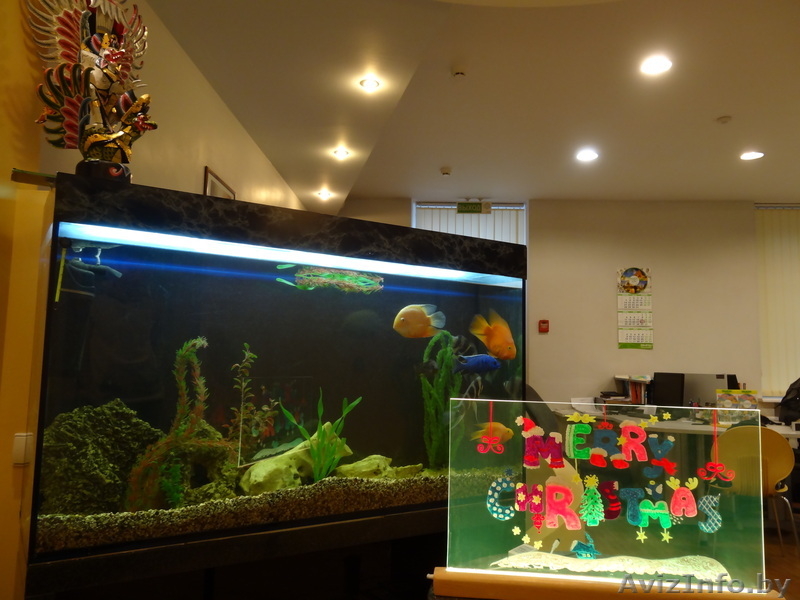 LED-доски – стань заметней! - Изображение #4, Объявление #976168