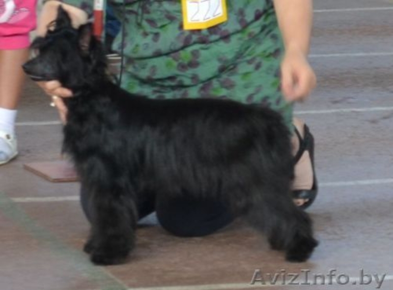 КХС-Ваш талисман, от беды хранящий! - Изображение #8, Объявление #1008453