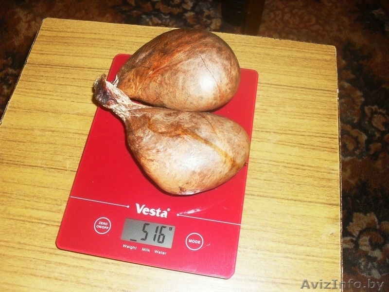 бобровая струя цена куплю продам бобровую струю - Изображение #3, Объявление #1009768