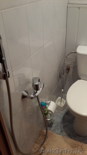 однокомнатная квартира в Центральном районе - Изображение #5, Объявление #1018714