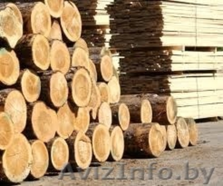 Пиломатериалы ООО"Техновуд-индустрия" - Изображение #6, Объявление #1029085