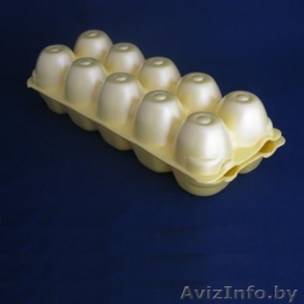 оборудование для производства упаковки для яиц  - Изображение #2, Объявление #1023332