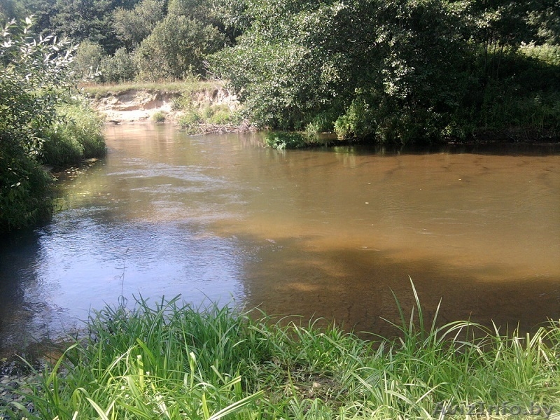 Усадьба в Налибокской пуще, 50км от МКАД - Изображение #8, Объявление #1033165