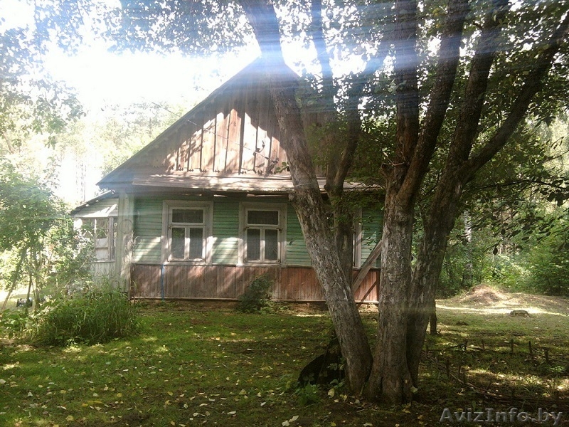 Усадьба в Налибокской пуще, 50км от МКАД - Изображение #3, Объявление #1033165