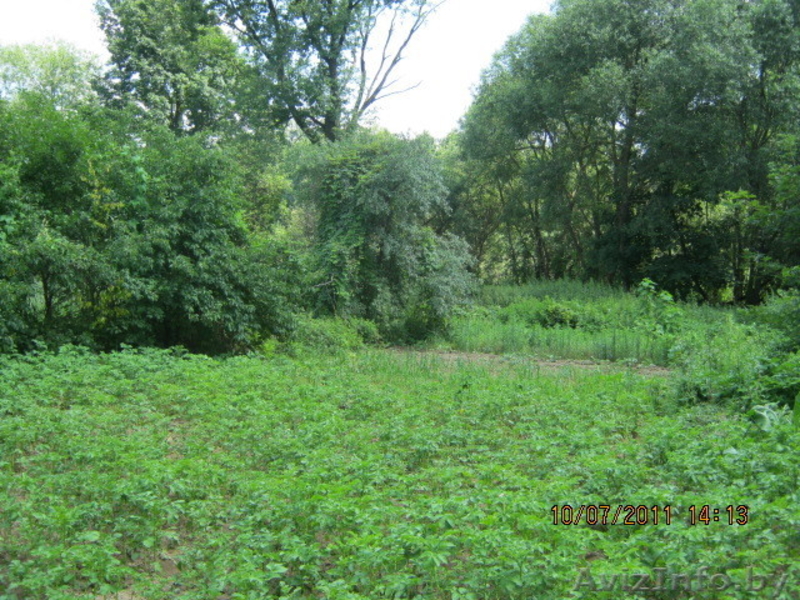 Домик  в  деревне     - Изображение #1, Объявление #1044582