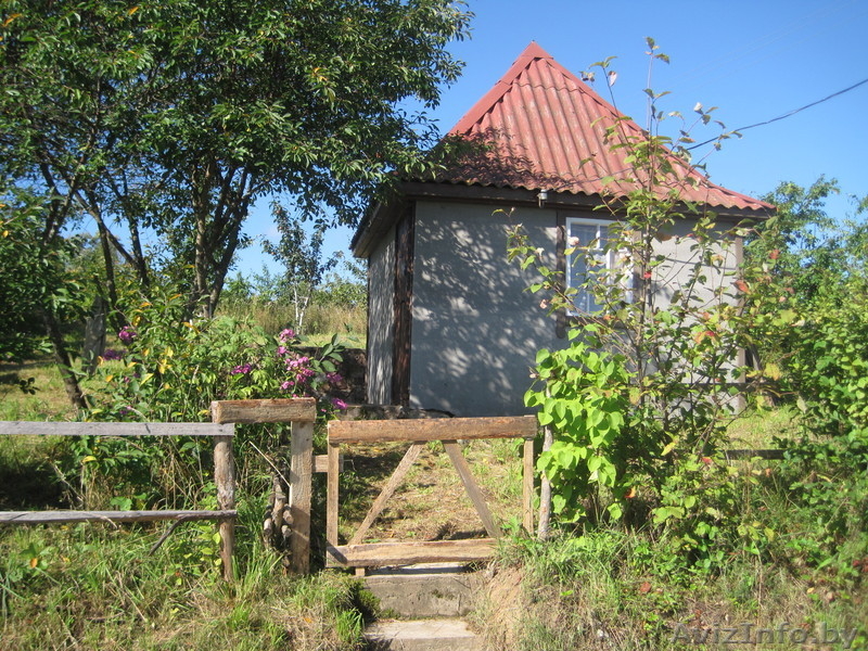 Дача в нац. парке "Браславские озера" - Изображение #1, Объявление #1041979