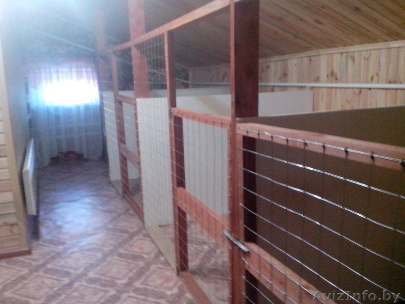 Гостиница для собак Floston-dog - Изображение #1, Объявление #1033586