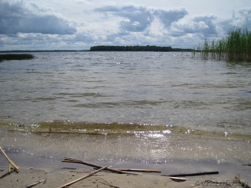 Дача в нац. парке "Браславские озера" - Изображение #2, Объявление #1041979