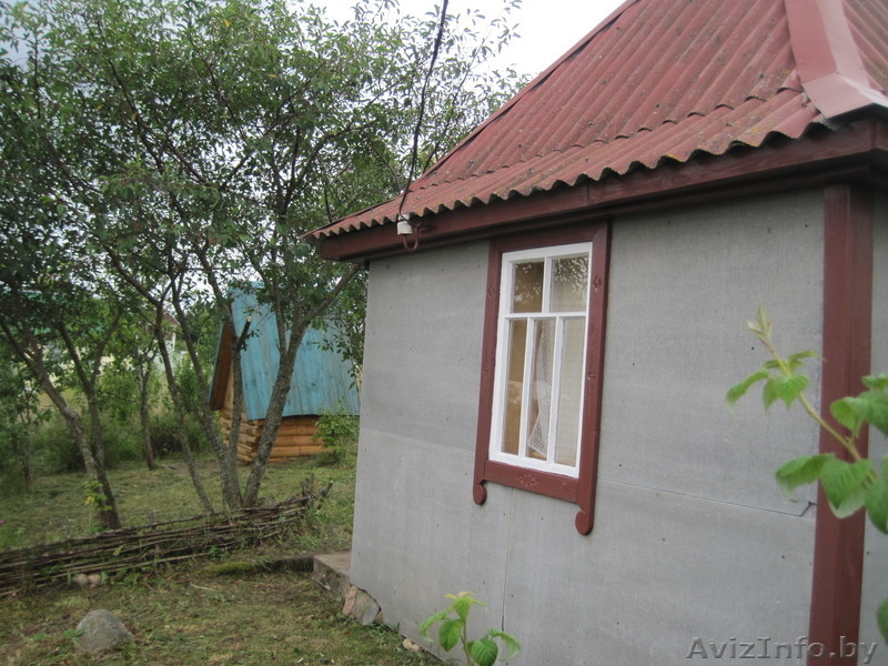 Дача в нац. парке "Браславские озера" - Изображение #10, Объявление #1041979