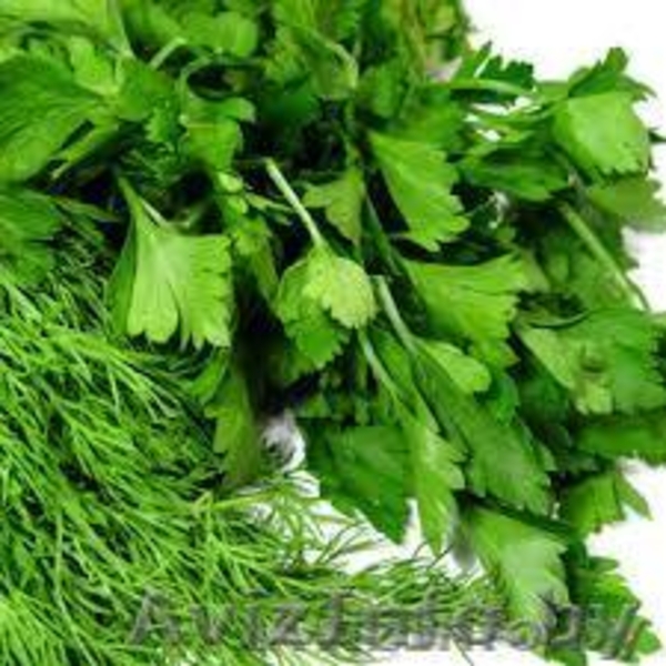 ЧПТУП "Свежая зелень" - Изображение #3, Объявление #1065320