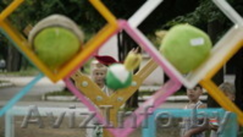 Аттракцион Angry Birds на Вашем празднике - Изображение #4, Объявление #1063079