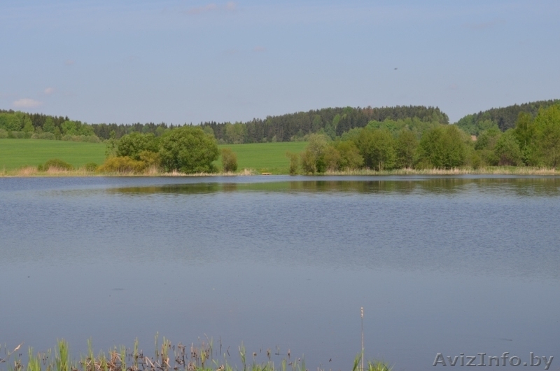 Сдам дом и беседки в аренду на озере - Изображение #5, Объявление #1061831