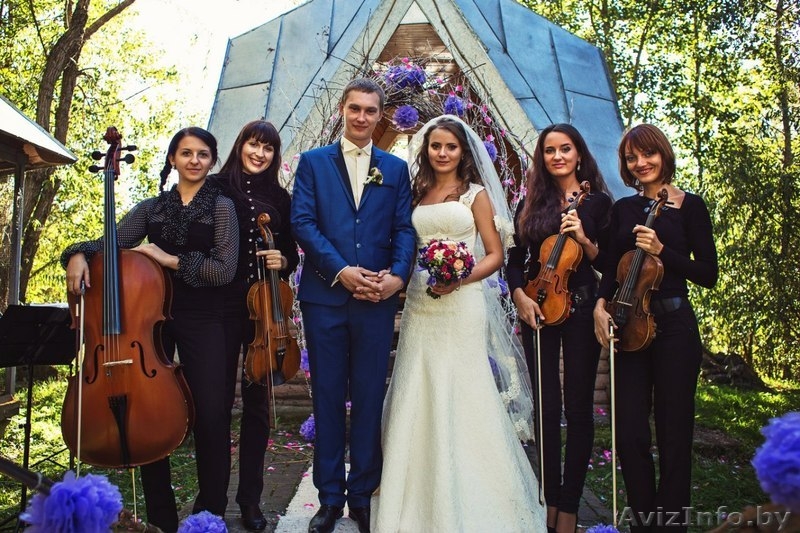 Струнный квартет Muse на свадьбу!!! - Изображение #2, Объявление #786527