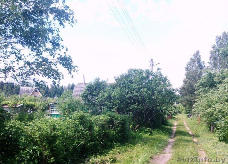 Продается дача в СТ "Чабарок". СРОЧНО - Изображение #4, Объявление #1060507