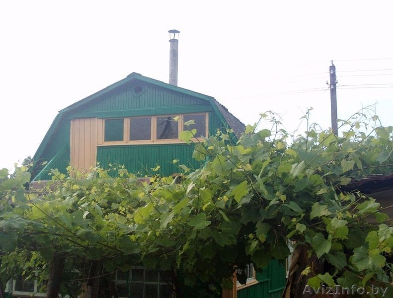 Продается дача в СТ "Чабарок". СРОЧНО - Изображение #3, Объявление #1060507