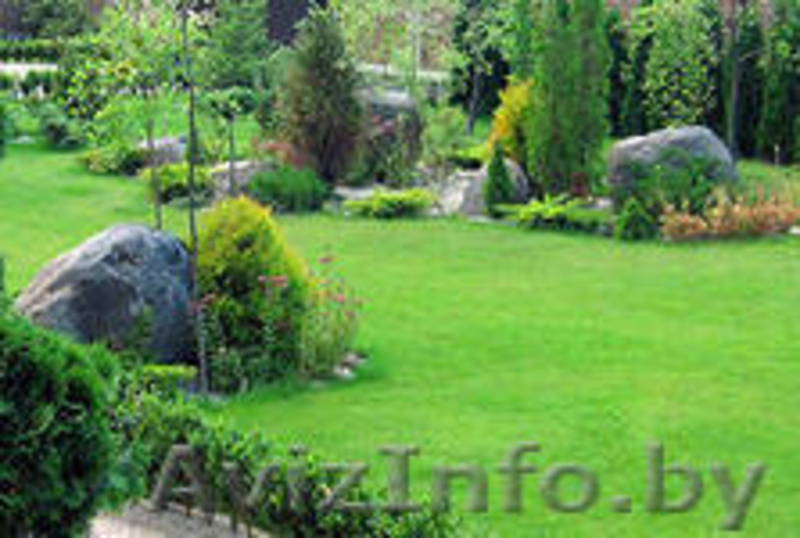 СЕТКА ОТ КРОТОВ  Tenax (Италия) - Изображение #2, Объявление #826573