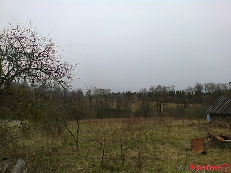 Продается великолепный участок недалеко от города. 45 соток, рядом лес, озеро - Изображение #3, Объявление #1070875