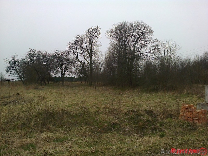 Продается великолепный участок недалеко от города. 45 соток, рядом лес, озеро - Изображение #5, Объявление #1070875
