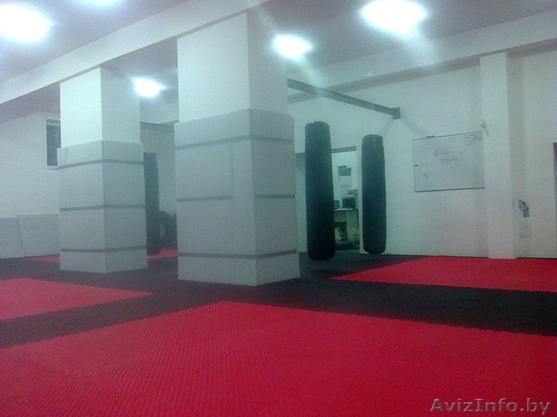   Спортзал Madmax - Изображение #3, Объявление #1075010