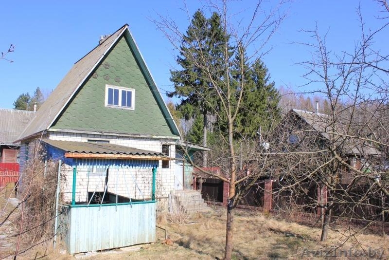 Продается дача в с/т Узборье (Раубичи)  - Изображение #4, Объявление #1071200