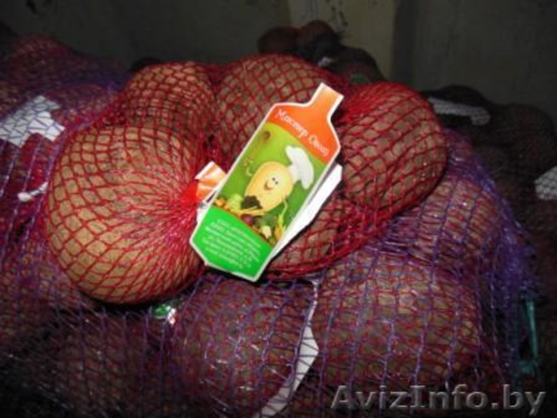 Картофель,морковь,свекла,лук "МИСТЕР ОВОЩ". - Изображение #2, Объявление #1072455