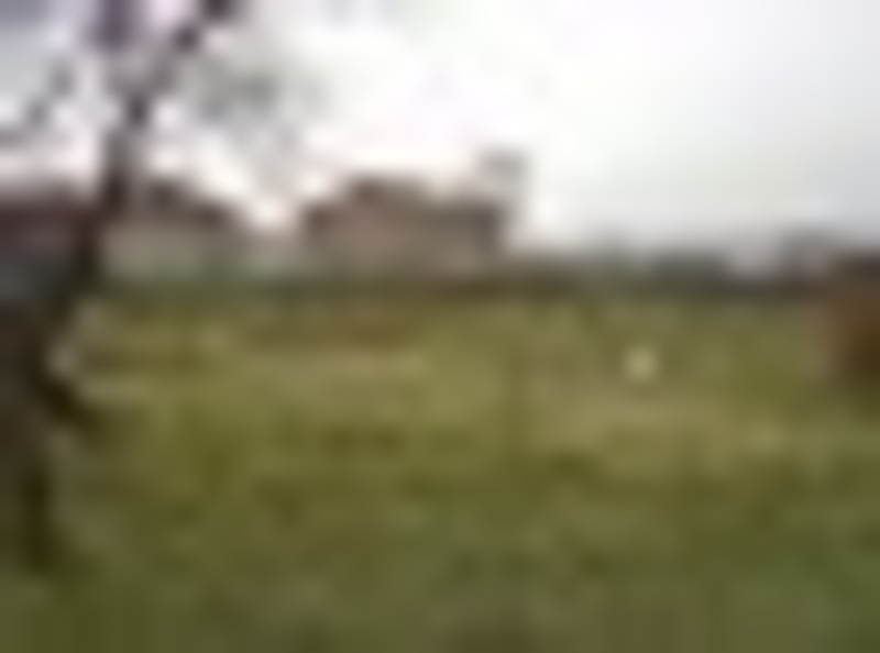 земля под постройку дачи-дома - Изображение #2, Объявление #1072700