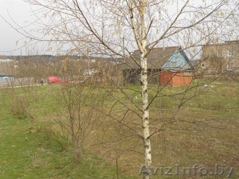 земля под постройку дачи-дома - Изображение #6, Объявление #1072700