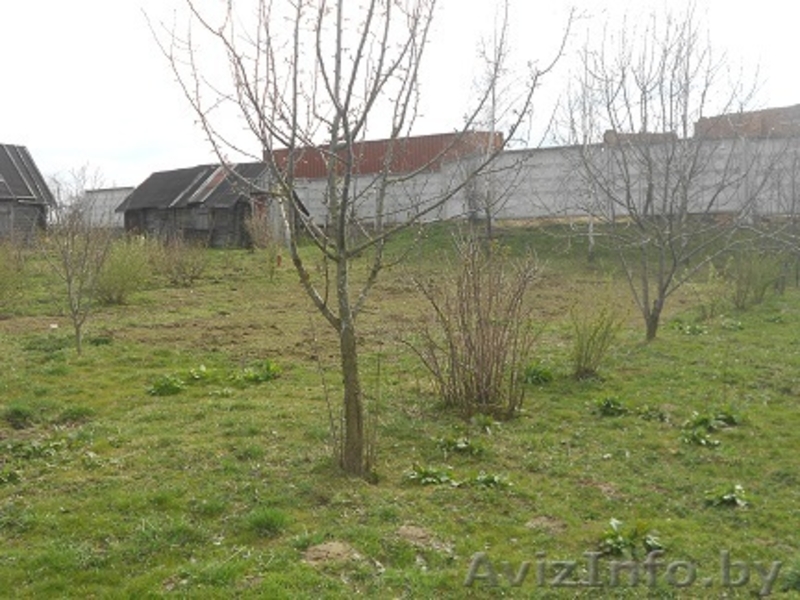 земля под постройку дачи-дома - Изображение #10, Объявление #1072700