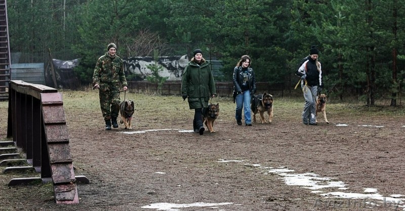  Инструкторов кинологов служебно спортивных собак - Изображение #2, Объявление #1078166