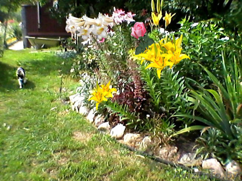 Дача Слуцкое шоссе 35 км. от МКАД - Изображение #6, Объявление #1082408