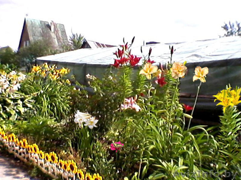 Дача Слуцкое шоссе 35 км. от МКАД - Изображение #7, Объявление #1082408