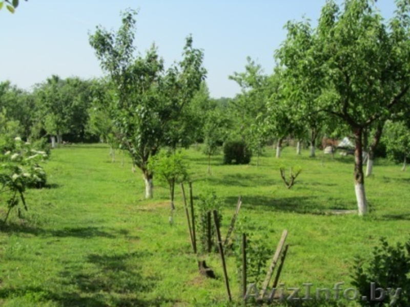 Продаю дом рядом с Минском - Изображение #5, Объявление #1094598