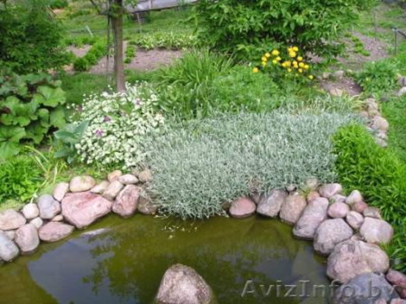 Продаю дом рядом с Минском - Изображение #6, Объявление #1094598