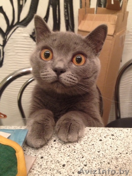 Выполним Укладку плитки  - Изображение #3, Объявление #1097464