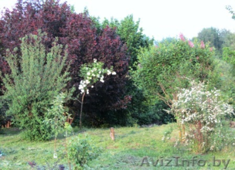 Продаю дом рядом с Минском - Изображение #10, Объявление #1094598