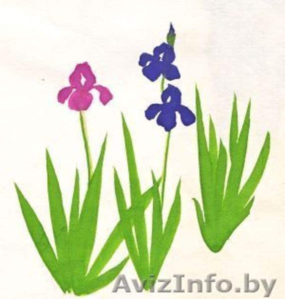 НаучИтесь онлайн рисовать акварелью или гуашью вместе с вашим ребенком. - Изображение #1, Объявление #1095404