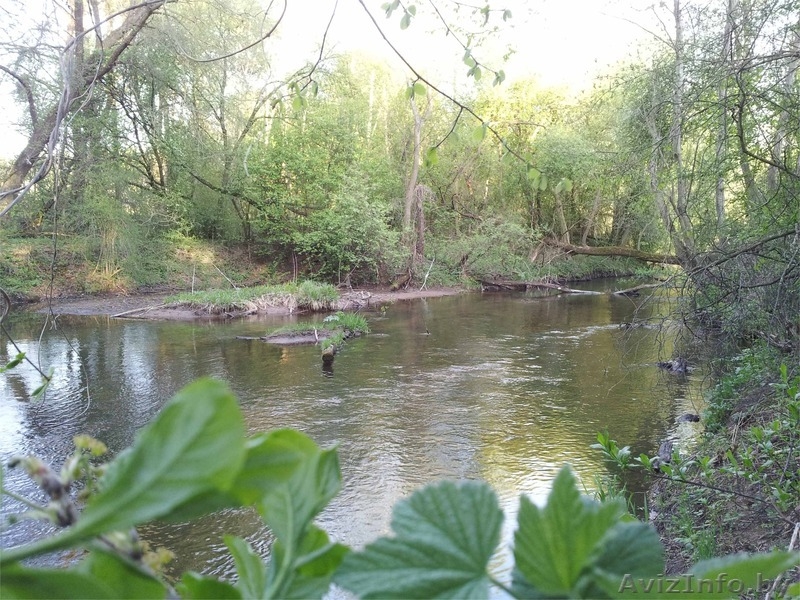 Продается Участок 15 соток около речки в д. Удранка - Изображение #5, Объявление #1090047