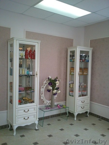 Сдается помещение под зоомагазин в субаренду - Изображение #4, Объявление #1103902