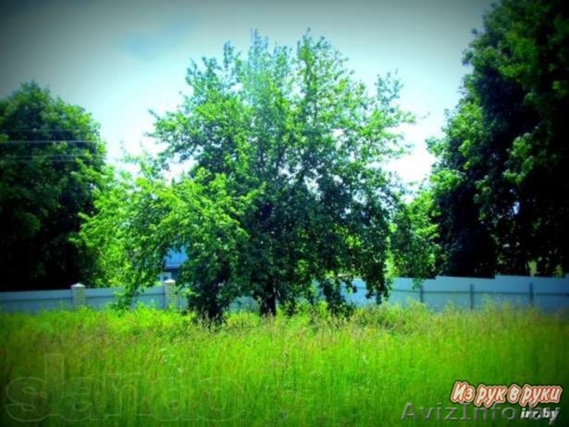 Продам коттедж в Борисовском р-не д.Дроздено - Изображение #3, Объявление #1098369