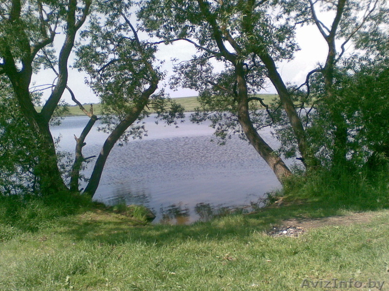 Продаётся дача под Минском (около Минского моря) - Изображение #6, Объявление #1099029