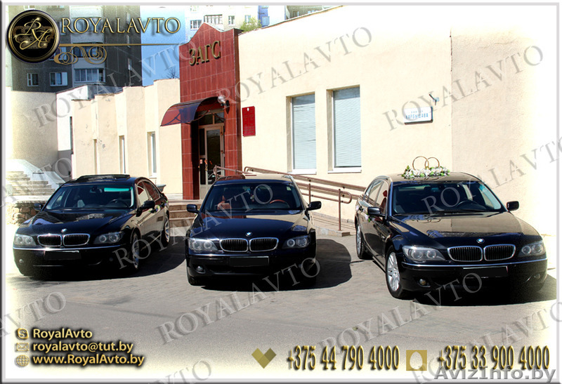 авто на свадьбу, прокат машин, украшение авто - Изображение #3, Объявление #1111099